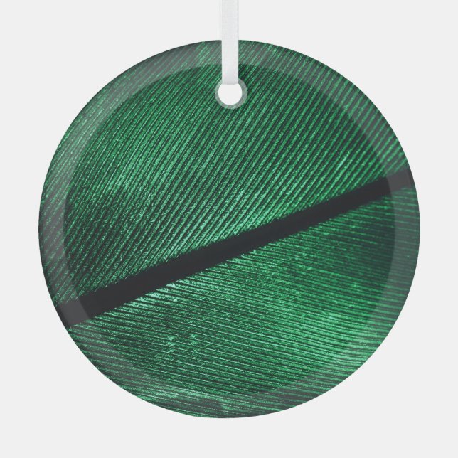 Grüne Feder, schöne Muster Textur. Ornament Aus Glas (Vorderseite)