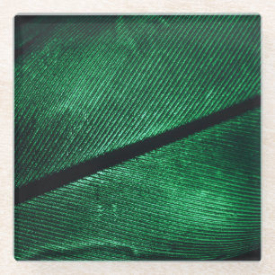 Grüne Feder, schöne Mustertextur. Glasuntersetzer