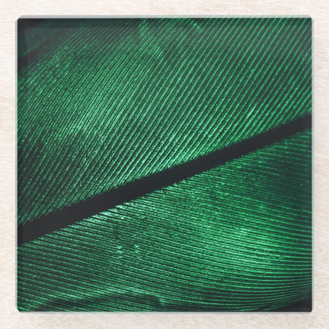 Grüne Feder, schöne Mustertextur. Glasuntersetzer (Vorderseite)