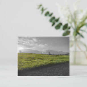 Grüne Felder Postkarte