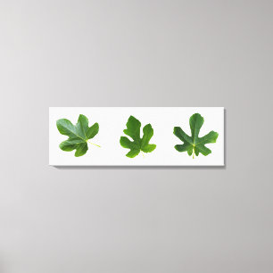 Grüne Flaschen, dicht abgeschieden auf weißem Hint Leinwanddruck