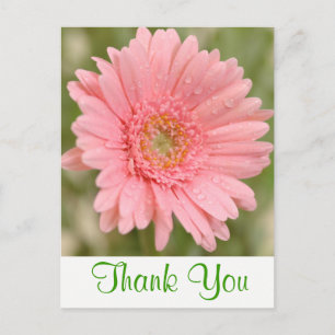 Grüne Florale Dankeschön Rosa Gerbera Daisy Blume Postkarte