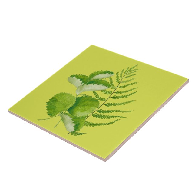 Grüne Formulare auf einer Keramik Fliese (Seite)