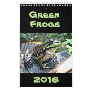 Grüne Frosch-Kalender 2016 Kalender