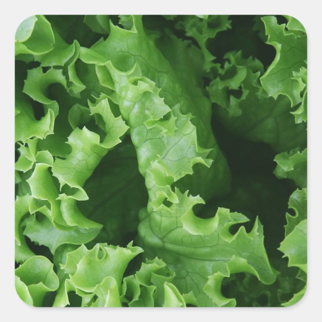 Grüne Frucht von pflanzlichen Lebensmitteln Quadratischer Aufkleber (Vorderseite)