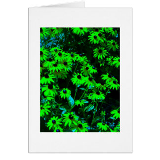 Grüne Gänseblümchen