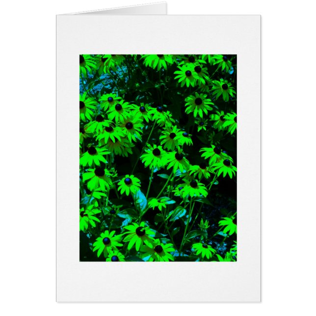 Grüne Gänseblümchen (Vorne)