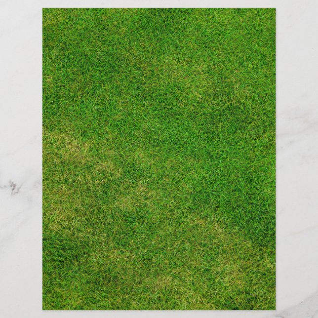 Grüne Gras Textur (Vorderseite)