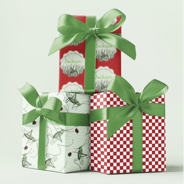 Grüne Grasshopper & Ladybug Kinder Insekten Geburt Geschenkpapier Set (Cute Grasshopper Gift Wrap. Hand Drawn Grasshoppers  & Ladybugs, Red Checkered, Custom Kids Birthday)