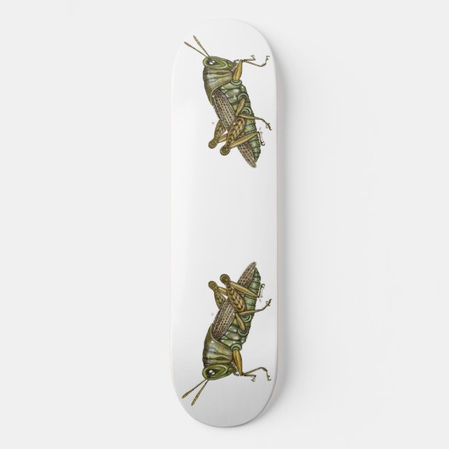 Grüne Grasshopper Skateboard (Vorderseite)