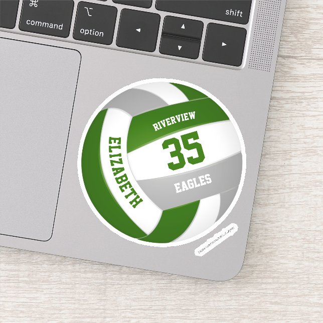 Grüne graue Mannschaft färbt Jungs Volleyball Aufkleber (Detail)