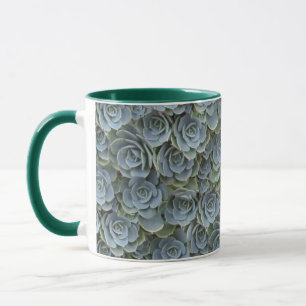 GRÜNE GRAUE SUKKULENTE PFLANZENROSETTEN TASSE