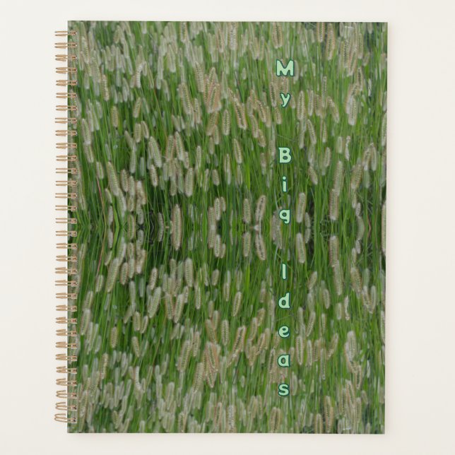 Grüne Großsaaten Planer (Vorderseite)