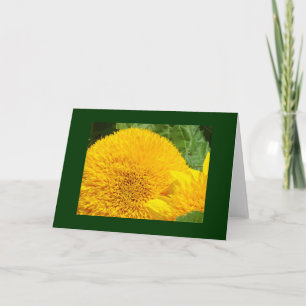 Grüne Grußkarten aus dem Garten Sonnenblumen Perso Karte