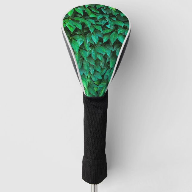 grüne Hecke Hintergrund Parthenocissus Muster Text Golf Headcover (Vorderseite)