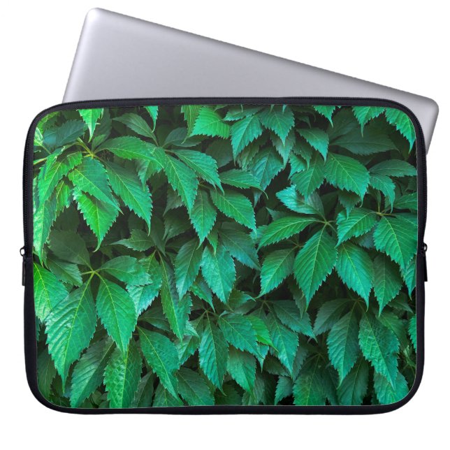 grüne Hecke Hintergrund Parthenocissus Muster Text Laptopschutzhülle (Vorderseite)