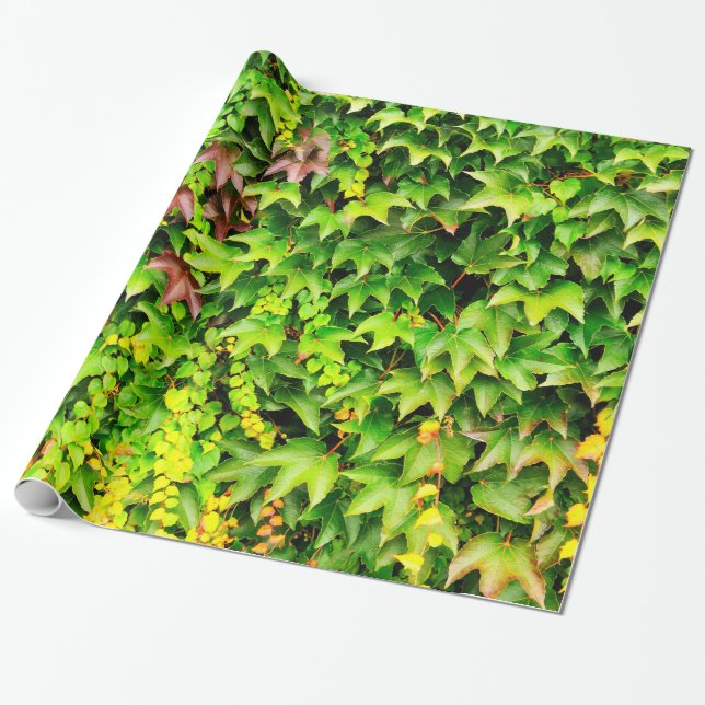 Grüne Hecken-Pflanze Geschenkpapier (Ungerollt)