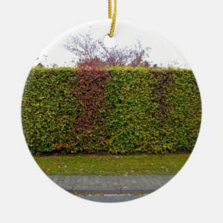 Grüne Heckenbeschaffenheit Keramikornament