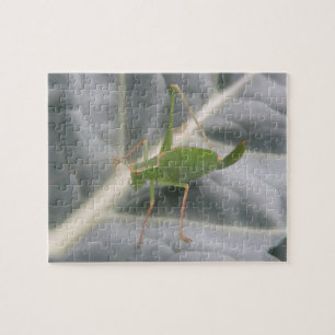 Grüne Heuschrecke Makro Puzzle