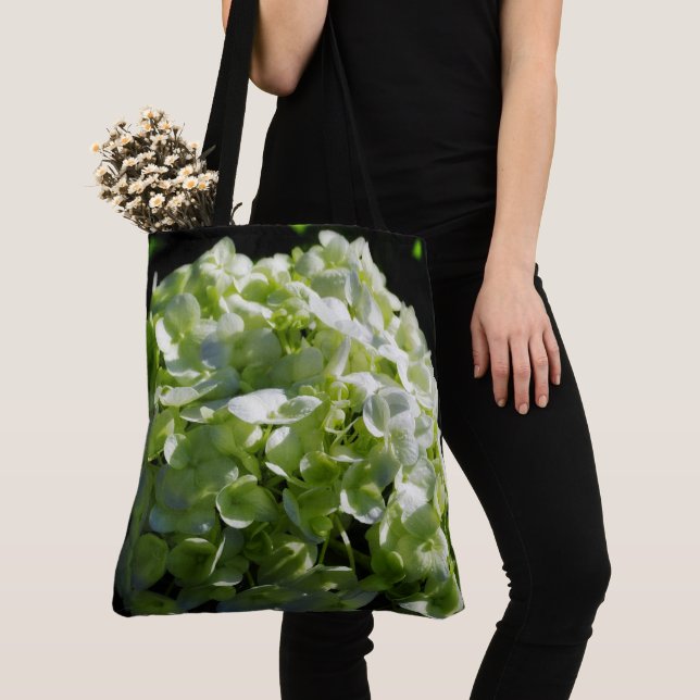 Grüne Hydrangeas-Blume (Von Nahem)
