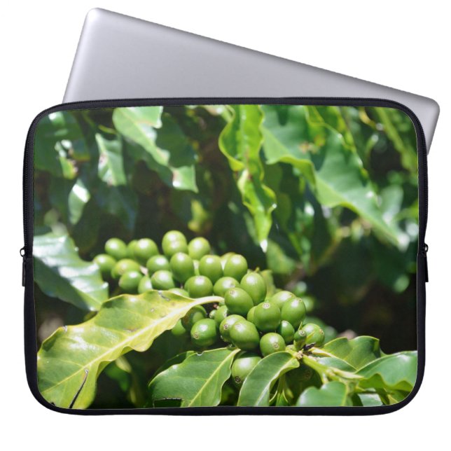 Grüne Kaffeeberries Laptopschutzhülle (Vorderseite)