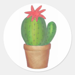 Grüne Kaktus Blume gepotted Pflanze Cacti Sukkulen Runder Aufkleber