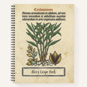 Grüne Kardamom Mittelalterliches Botanisches Rezep Notizbuch