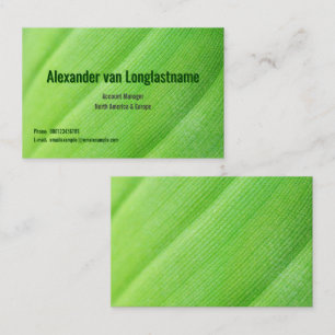 Grüne Karte mit Bananenblatt