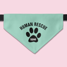 Grüne Katze Bandana
