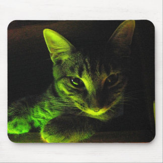 Grüne Katze Mousepad