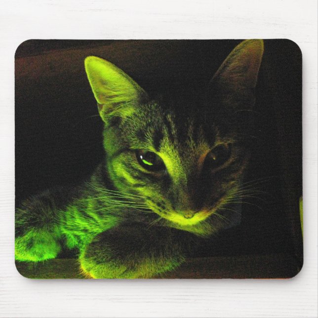 Grüne Katze Mousepad (Vorne)