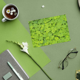 Grüne Kleeblätter Blumenstrauß St Patrick's Day Karte