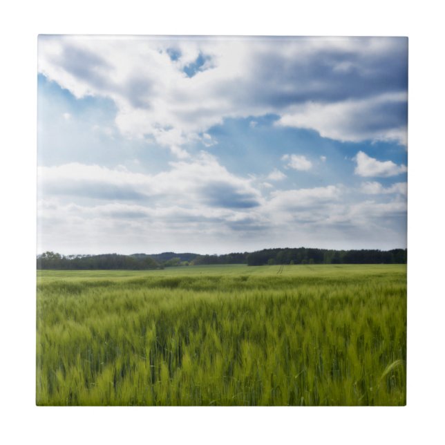 Grüne Kornfelder und blaue Himmel Fliese (Vorderseite)