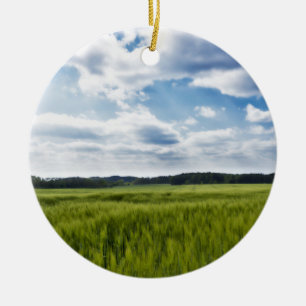 Grüne Kornfelder und blaue Himmel Keramik Ornament
