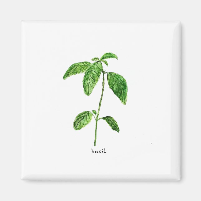 Grüne Kräutergarten Aquarell Magnet (Vorne)