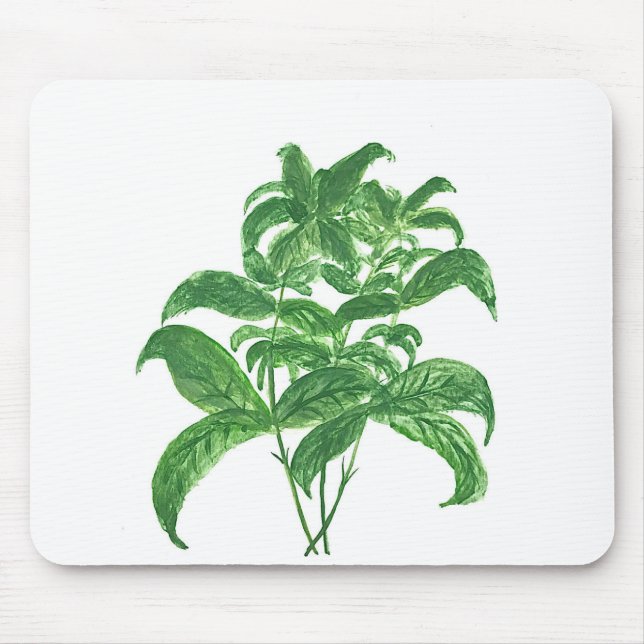 Grüne Küche botanische Pflanze Kräuter Basil Mousepad (Vorne)