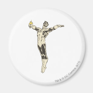 Grüne LaternenPosen Magnet