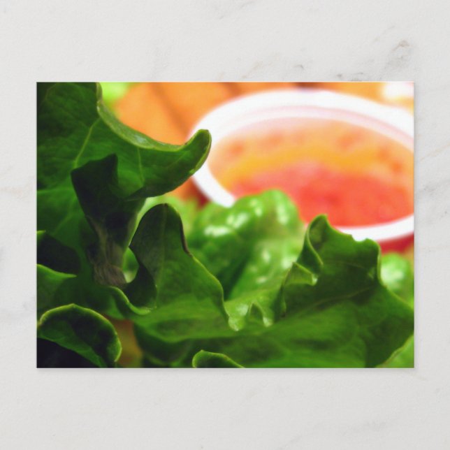Grüne Lettuce Leaf Foto Postkarten (Vorderseite)