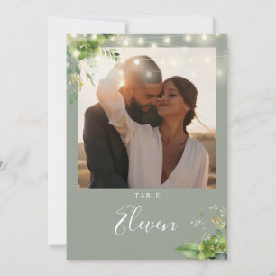 Grüne Lichter Foto Salbei Grüne Tischnummer