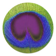 Grüne Lila blaue Pfauenfederkleber / Siegel