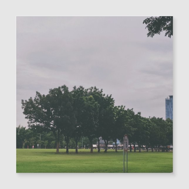 Grüne Linie Magnetkarte (Vorderseite)