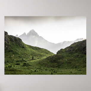 Grüne Lofoten Landschaft Poster