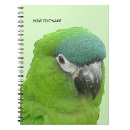 Grüne Lorikeet Kust. Text- und BG-FarbNotebook Notizblock
