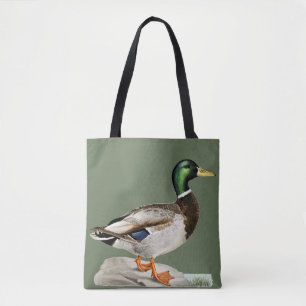 Grüne Mallard Ente Jagd Natur Kunst