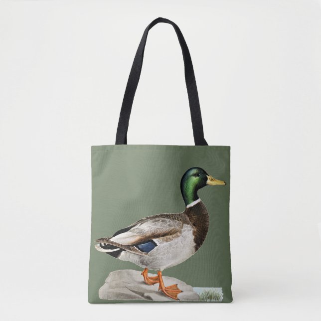Grüne Mallard Ente Jagd Natur Kunst (Vorderseite)