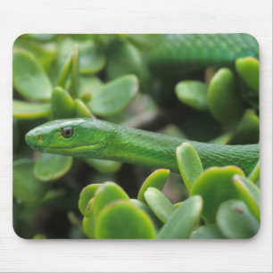 Grüne Mamba (Dendroaspis angusticeps) Mousepad