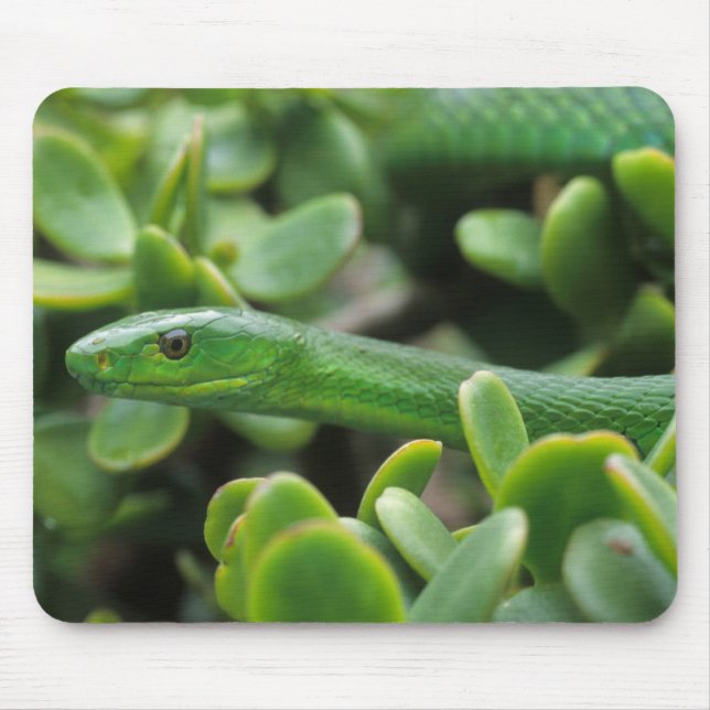 Grüne Mamba (Dendroaspis angusticeps) Mousepad (Vorne)