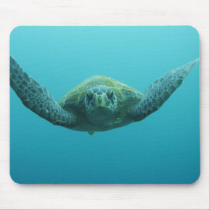 Grüne Meeresschildkröte (Chelonia mydas agassisi), Mousepad