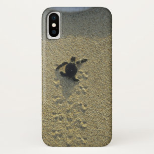 Grüne Meeresschildkröte, (Chelonia mydas), frisch  Case-Mate iPhone Hülle