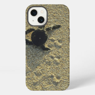 Grüne Meeresschildkröte, (Chelonia mydas), frisch iPhone 13 Hülle
